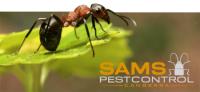 Sams Ant Control Canberra image 2